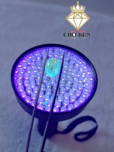 รอบที่-1 ก-22 อำพันพม่าแบบมีแมลง อำพันแท้