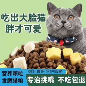Dry Cat Food for Adult Kittens Short-Bodied Fish Meat Low Oil Low Salt Universal Cat Food Main Course Pet Supplies Cat Food