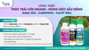 Giải pháp thúc trái lớn thần tốc nhanh hiệu CABOPHOS CALYP WELL GA3 SỮA của apn