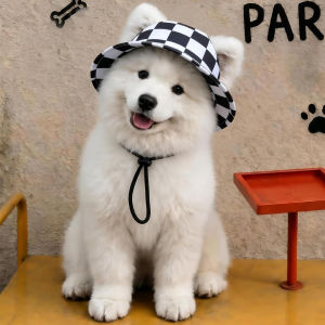 Petone dOrage | Pet Outing Sun Protection Sun Hat