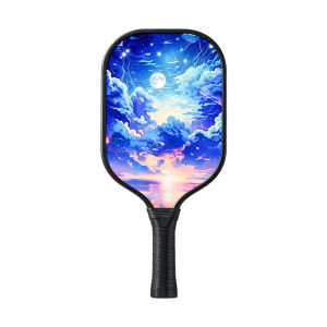 Beginner Professional Sports Training Pickleball Paddle Set