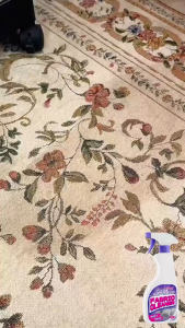 【พร้อมสต็อก|ส่งจากกทม】🔥 สเปรย์ซักแห้ง 🔥 เพียงเช็ดหลังฉีด สเปรย์ทำความสะอาดที่นอน 500ML น้ำยาทำความสะอาดที่นอน ขจัดคราบฝังแน่น สะอาดเหมือนใหม่