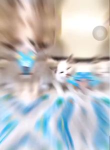 Súp Thưởng Mr.Vet Cho Mèo Gói 60g (4 Thanh) - Hỗ Trợ Tiêu Hoá Cung Cấp Omega-3