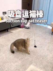 [LOCAL STOCK] Strong Suction Cup Cat Teaser Self Play Cat Toy Mainan Bulu Mancing Kucing Murah