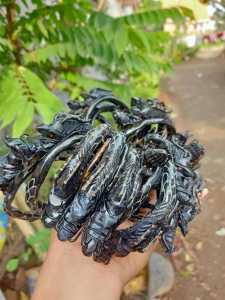 GELANG AKAR BAHAR UKIR NAGA