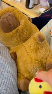 Thú nhồi bông capybara ciu gà đáng yêu - Size từ 35cm đến 65cm - Quà tặng gấu bông capybara có ciu hình gà kéo ra được.