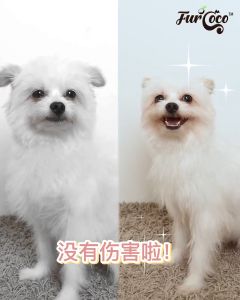 Furcoco Coco Tonic | 宠物毛发补品 Dog/Cat 50g