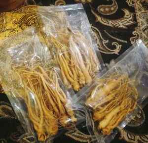 promosi ginseng merah Korea