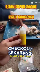 Essen Ikan Mas Aroma Jagung Bakar Susu Sereh Asli Paling Gacor Essen Oplosan Ikan Mas Amis Wangi Gurih Spesial Essen Ikan Mas Babon Rame Paling Ampuh Anti Boncos