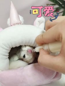 ขวดนมแมว 10ml ขวดนมชูการ์ไกรเดอร์ ขวดนมชูการ์ จุกป้อนนมแมว ขวดนมกระรอก ขวดนมสัตว์เลี้ยง ส่งจากกรุงเทพ