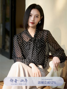 French Style Lightweight Long Sleeve Blouse