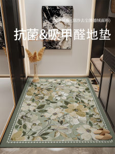 Elegant Entrance Door Mat Anti-Slip Durable Hallway Floor Rug Easy to Clean Bedroom Door Threshold Mat Modern Simple Style Home Decor