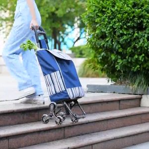 Folding Handcart with Large Capacity Strong Load-Bearing Capacity - Convenient Multi-Purpose Shopping Cart