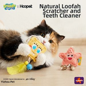 HOOPET | Entertainment Cat Wand Toy for Self-Play and Boredom Relief