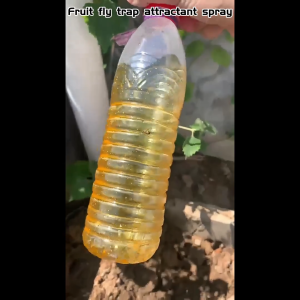 450 ML insect trap spray adhesive supernet insect trap spray fruit fly trap fruit fly attractant