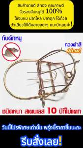 ดีดแรงใช้นาน20ปี กับดักหนู สีทอง 6นิ้ว ชนิดหนา สเตนเลส กับดักหนู โมดิฟาย กําจัดหนู ได้ผลดี ใช้ง่าย กับดักเมาส์สปริง