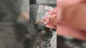 Glink หัว BNC แบบบีบ RG6 (100 ชิ้น) สำหรับกล้องวงจรปิด BNC Crimp Type RG6 for CCTV รับสมัครดีลเลอร์ทั่วประเทศ