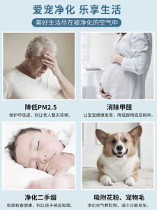 Suction Cat Hair Air Purifier Pet Hair Cat Suction Automatic Suction Floating Hair Odor Removal Fuzz Ball Remover Allergy Source