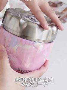 Portable High-capacity Stylish Insulated Lunch Box