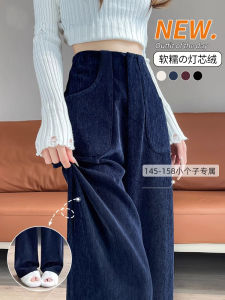 Small Dark Blue Suit Loose Pants Female Fall and Winter Chenille Velvet Fleece-lined Narrow Version Straight-Leg Pants Cropped High