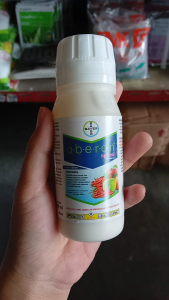 AKARISIDA OBERON SPEED 100 ML spiromesifen dan abamectin - BAYER