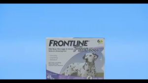FRONTLINE Plus Flea & Tick Treatment for Dogs (Per Vial) Repellent Anti-Flea Anti-Itching frontline for dogs and cats