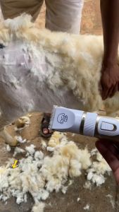 MEGA BaoRun Mesin Alat Cukur Elektrik Bulu Hewan Peliharaan