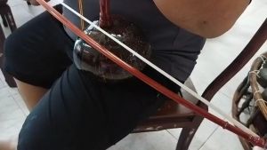 ซออู้ ไม้ประดู่ สวยๆ ราคาประหยัด ราคาถูกถูก คุณภาพเกินราคา