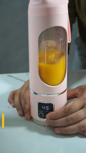 Dreepor Portable Electric Fruit Juicer Rechargeable Cup Food Mixer 450ml Cup