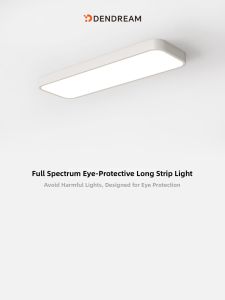 DENGJIAN | Smart Ceiling Light Modern Minimalist Design