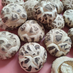 Shiitake Mushrooms Dried White Flowered 500g Foot Trimmed Farmhouse New Stock Thick Fleshed Edible Agricultural Products