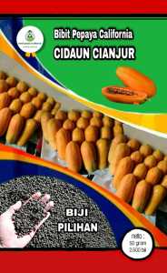 50 GRAM(-+ 2500)BIJI PILIHAN BENIH BIBIT PEPAYA CALIFORNIA UNGGUL POHON PENDEK BERBUAH LEBAT