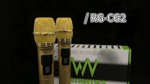 RAYHAYES Wireless Microphone Bluetooth UHF Rechargeable Dynamic Microphone for Karaoke Performance