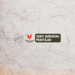 Sapu Lantai Ijuk Rayung Muntilan Tipe JARI