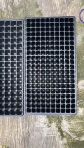 Tray Semai Tempat Untuk Menyemai