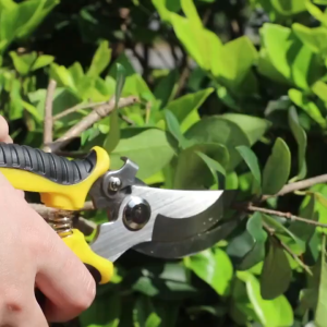 【SG SELLER】Professional Garden Pruning Shears 7.5" Gardening Cutter Heavy Duty Garden Scissors Clippers Garden Tool for Plants Hand Pruner