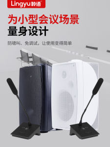 Listening Language Meeting Room Sound System Set Classroom Speech Room Training Room Wall Mounted Speaker Dual Speaker AV Connection