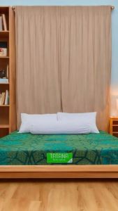 FREESHIP Nệm Bông Ép Gấp 3 Eva Tatana Chính Hãng - Tặng 2 Gối Nằm