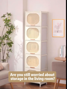 Bamboo Storage Solutions: Kitchen Bookcases, Shoe Cabinets & Rattan Door Lockers