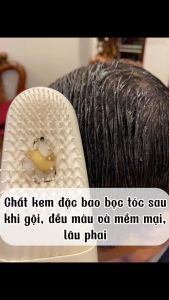 Dầu Gội Phủ Đen/ Phủ Bạc Dưỡng Tóc Weilaiya 100ml - Lõi Thay Thế Không Kèm Lược (3 Màu)