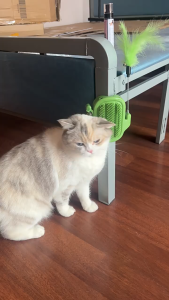 3in1 Cat Self Groomer Brush Cat Massage Relieve Itching Self Fun Comb Scratcher Teasing Catnip Ball Cat Toy Mainan Kucing逗猫棒