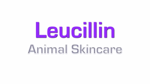 Snob Ark x Leucillin® Antiseptic Spray 250ml / Travel Spray size 60ml