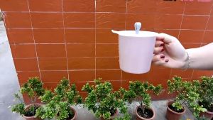 Silicone Cup Lids Anti-dust Airtight Seal Mug Cover Hot Cup Lids Silicone Drink Cup Lids