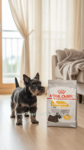 Royal Canin Mini Dermacomfort 1kg Adult Dry Dog Food | Canine Care Nutrition for Small Breed Dogs Prone to Skin Irritation & Itching | Reduced Allergen Formula for Healthy Skin & Promote Shiny Coat [EXP Nov.26]