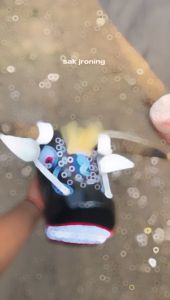 Promo bantengan anak SUNGU ASLI / TANDUK ASLI mainan kesenian tradisional Murah.