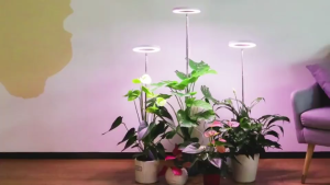 [SG Stock]LED Ring Grow Light Full Spectrum USB Plant Growing Lamp Height Adjustable 4‑8‑12H Auto Timer 4 Brightness 180° Rotatable for Indoor Succulent Herb Flower Houseplants