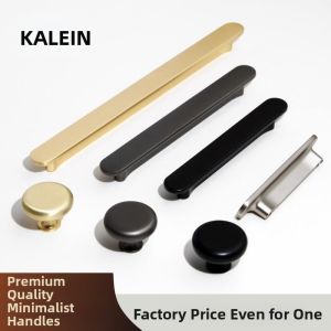 Stainless Steel Modern Small Handle