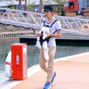 Dog Carrier Bag Cat Front Back Carrier Pet Carrier Bag Front Backpack Pet Travel Carrier Cute Bag Carrier Outdoor Backpack