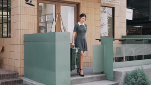 Urecity Retro Suitcase Set of 2 Luxury Luggage Travel Bag Large Capacity Rolling Suitcase Vintage Suitcase Luggage 20/26 Inches