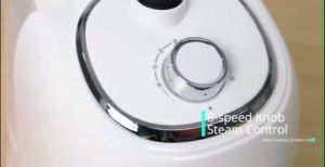 KONKA Household Vertical ironing machine adjustable multiple gears garment Steam Iron掛燙機 燙鬥